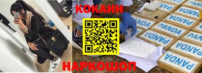 спайс Кингисепп