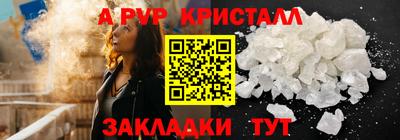 спайс Кингисепп