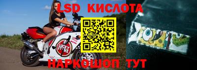 спайс Кингисепп