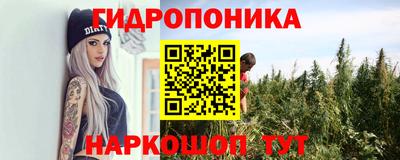 спайс Кингисепп