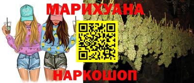 спайс Кингисепп
