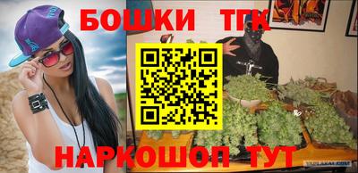 спайс Кингисепп