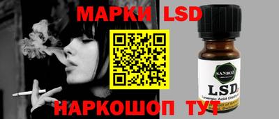 спайс Кингисепп