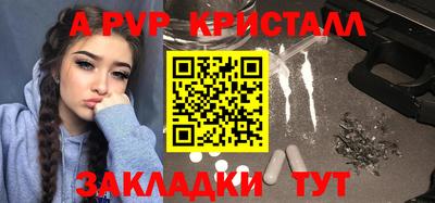 спайс Кингисепп