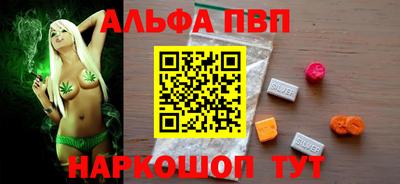спайс Кингисепп