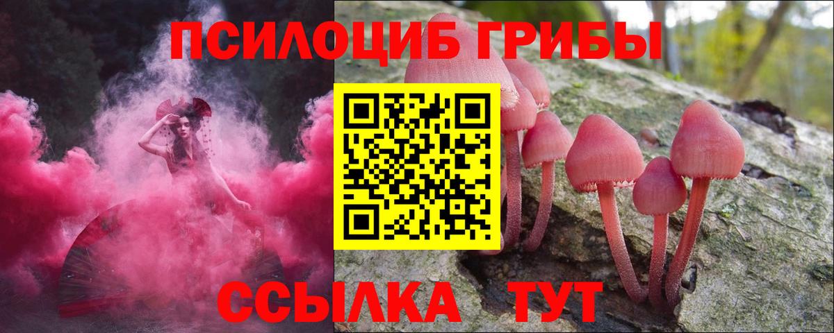 Галлюциногенные грибы MAGIC MUSHROOMS  Вход с VPN  Звенигород 