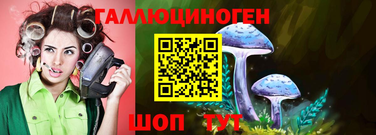 Псилоцибиновые грибы Psilocybine cubensis Звенигород
